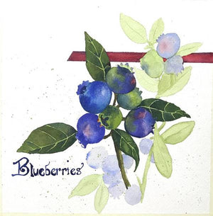 Blueberries - Art Print